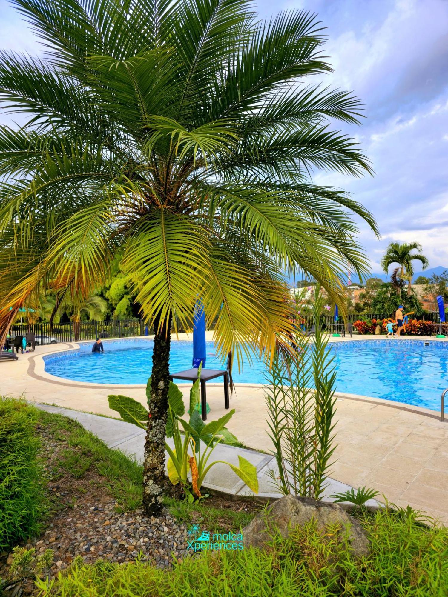 Apartamento Privado Vacacional A 5M Del Aeropuerto, 20 Minutos Del Parque Del Cafe Y Centro De Armenia Con 4 Piscinas, 3 Jacuzzi, Sauna By Molca Xperiences 2H ภายนอก รูปภาพ